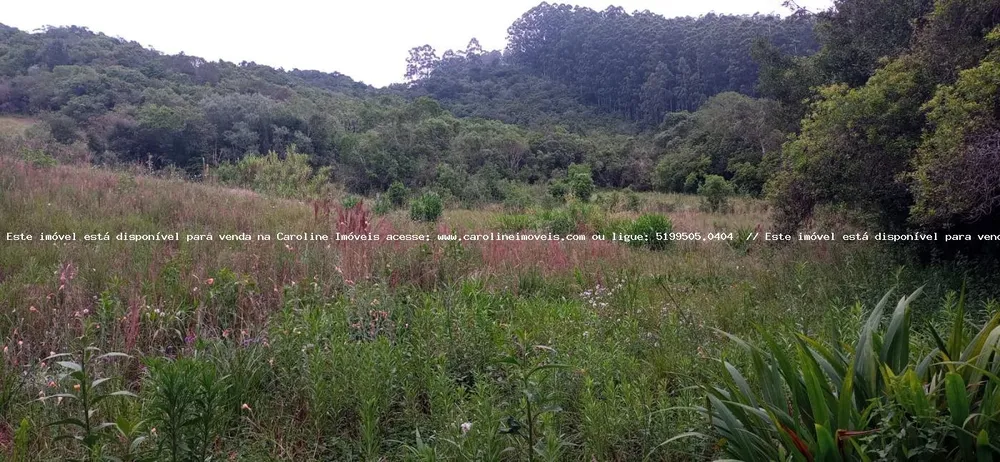 Loteamento e Condomínio, 2500 m² - Foto 3