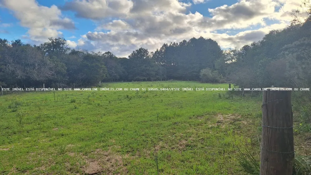 Sítio, 3 quartos, 20 hectares - Foto 6