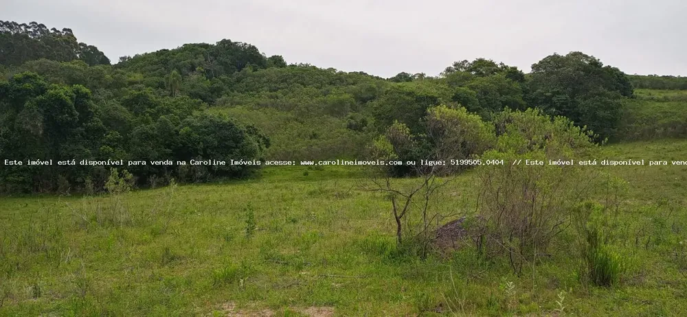Loteamento e Condomínio, 30 hectares - Foto 11