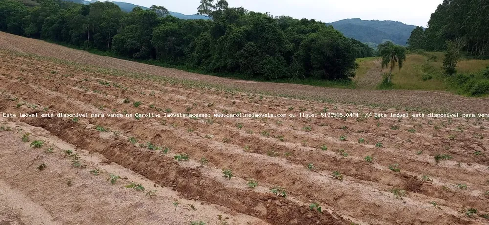 Loteamento e Condomínio, 30 hectares - Foto 9