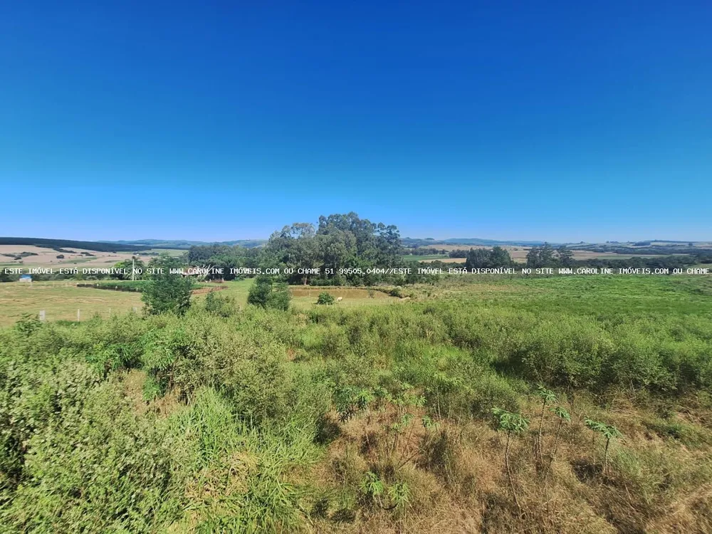 Sítio, 3 quartos, 4 hectares - Foto 8