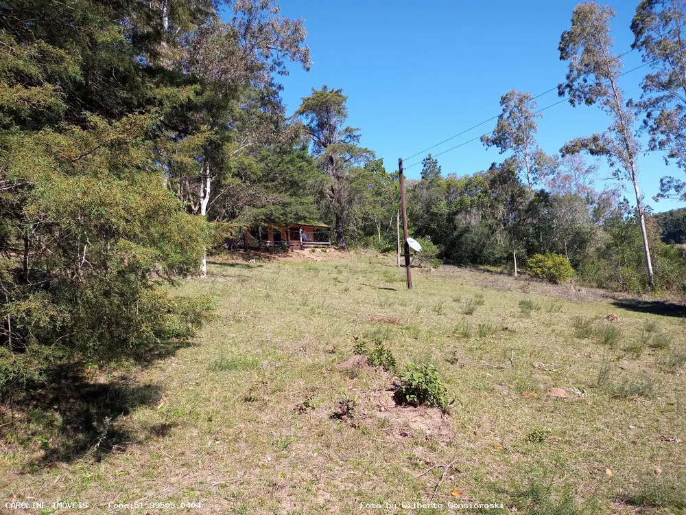 Sítio, 4 quartos, 16 hectares - Foto 7