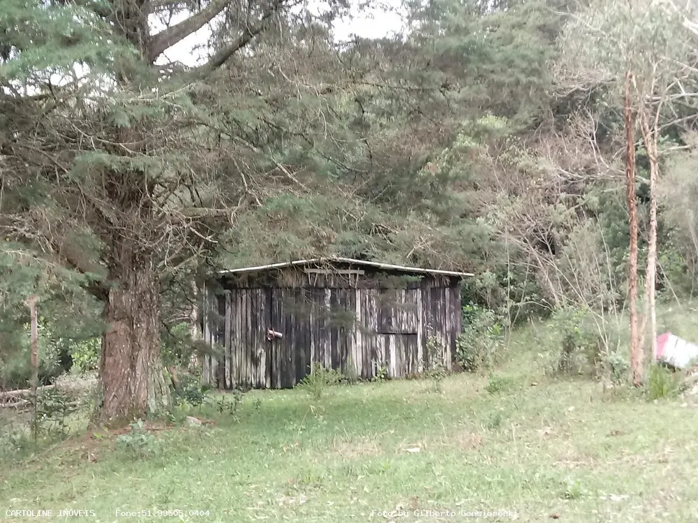 Sítio, 4 quartos, 16 hectares - Foto 4