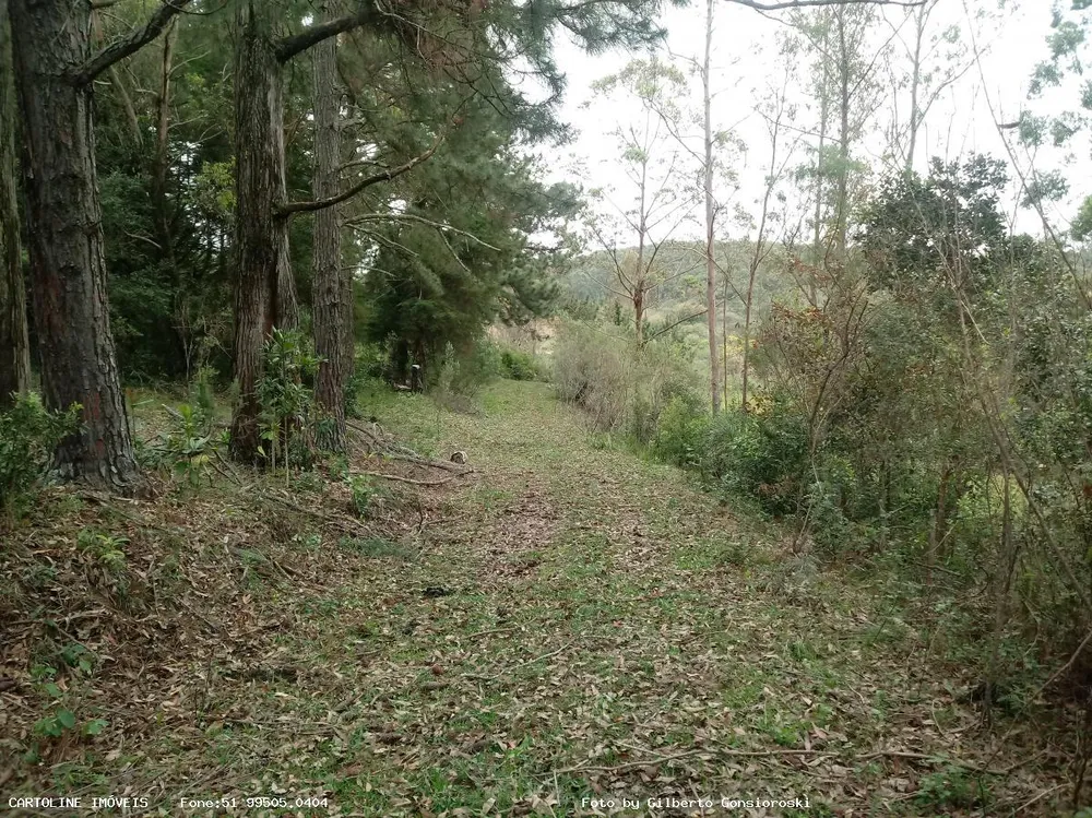 Sítio, 4 quartos, 16 hectares - Foto 2