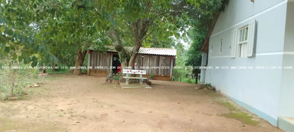 Sítio, 3 quartos, 5000 m² - Foto 3