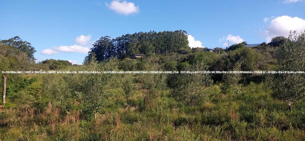 Fazenda, 19 hectares - Foto 12
