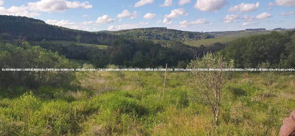 Fazenda, 19 hectares - Foto 4