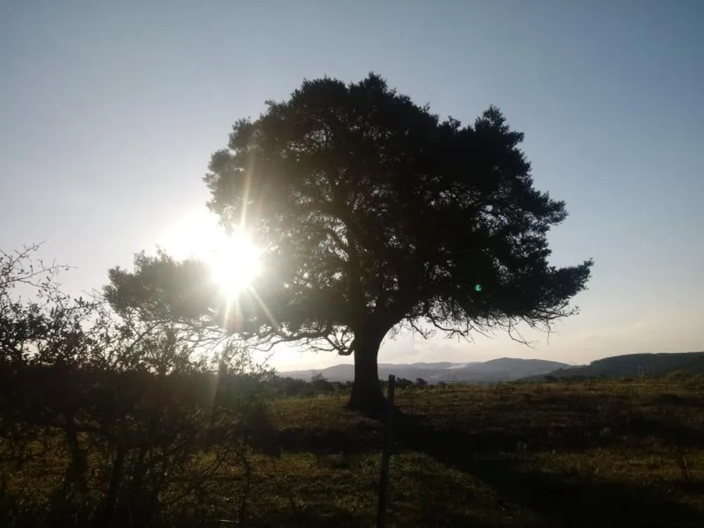 Loteamento e Condomínio, 14 hectares - Foto 12