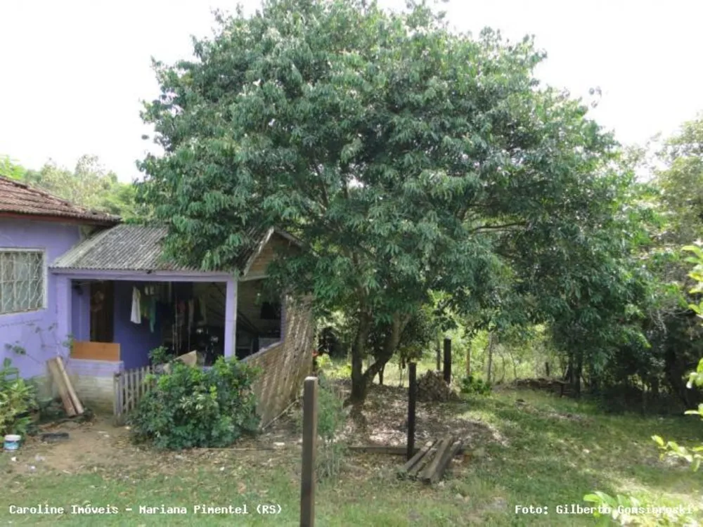 Chácara, 3 quartos, 2 hectares - Foto 7
