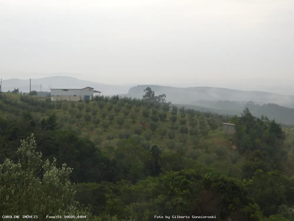 Sítio, 6 quartos, 49 hectares - Foto 12