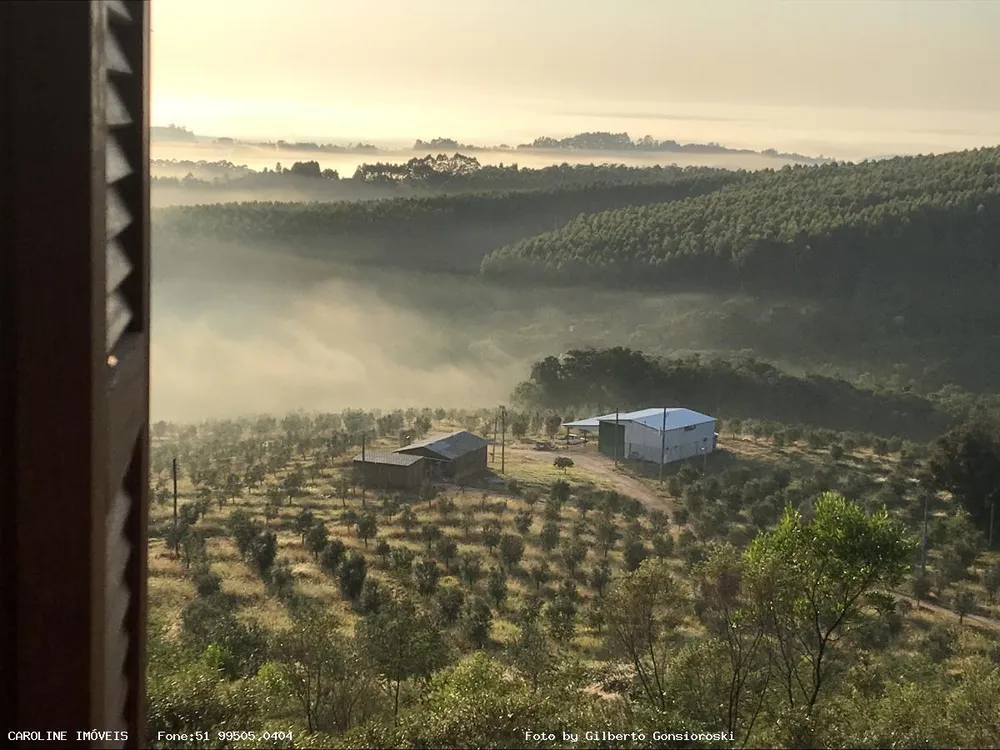 Fazenda, 49 hectares - Foto 3