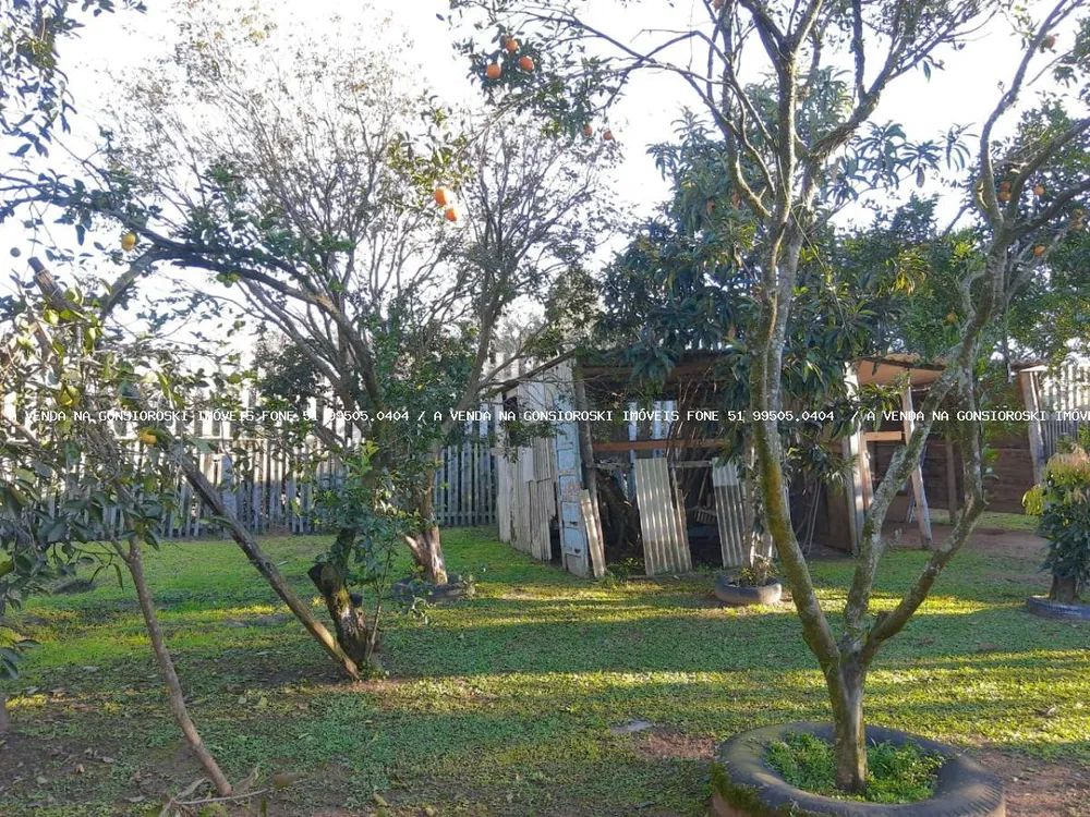 Chácara, 3 quartos, 1500 m² - Foto 4