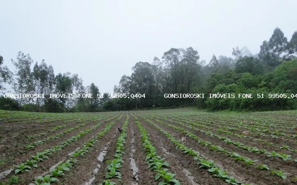 Sítio, 3 quartos, 14 hectares - Foto 4