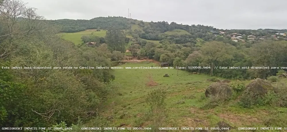 Chácara, 1 quarto, 2 hectares - Foto 4