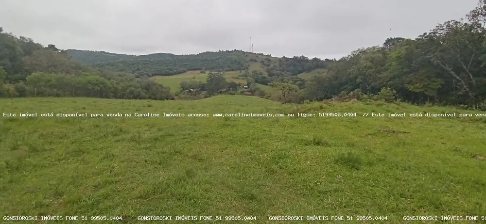 Chácara, 1 quarto, 2 hectares - Foto 12