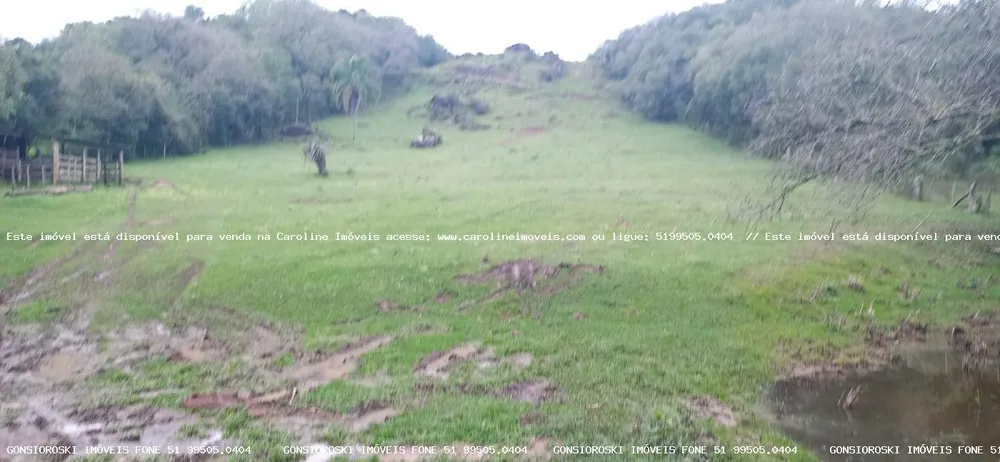 Chácara, 1 quarto, 2 hectares - Foto 10