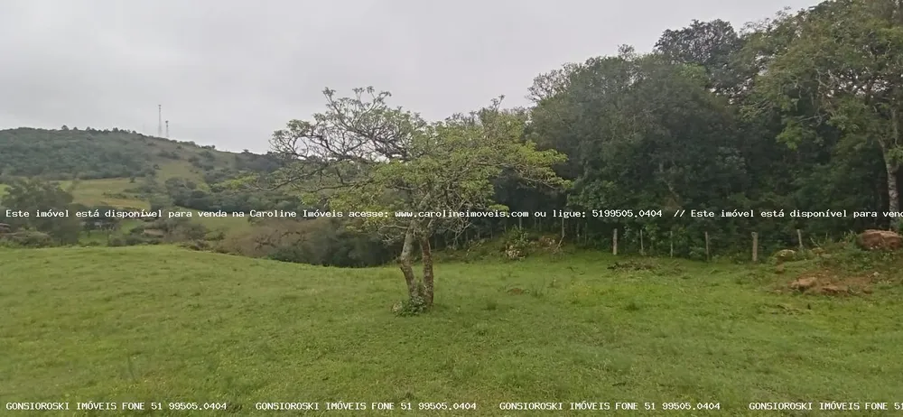 Chácara, 1 quarto, 2 hectares - Foto 1