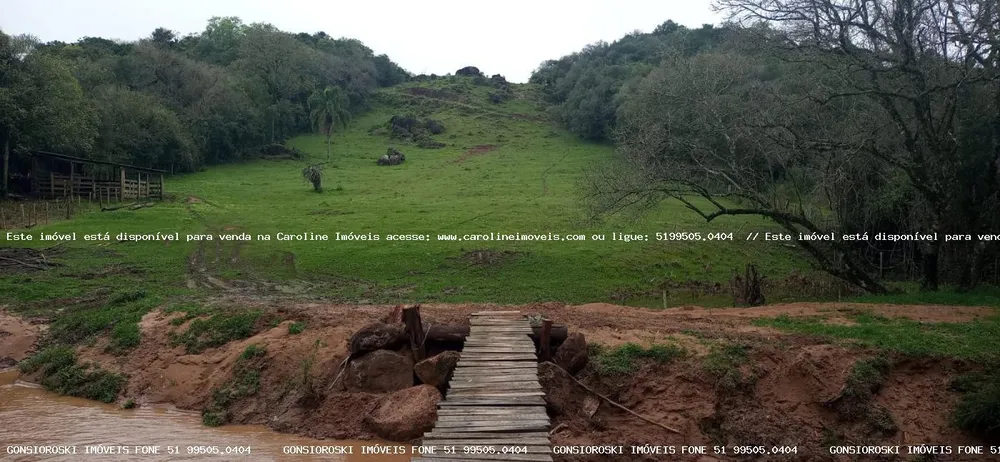 Chácara, 1 quarto, 2 hectares - Foto 8