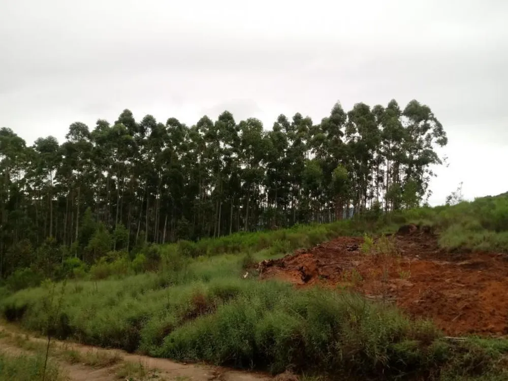 Chácara, 5000 m² - Foto 12