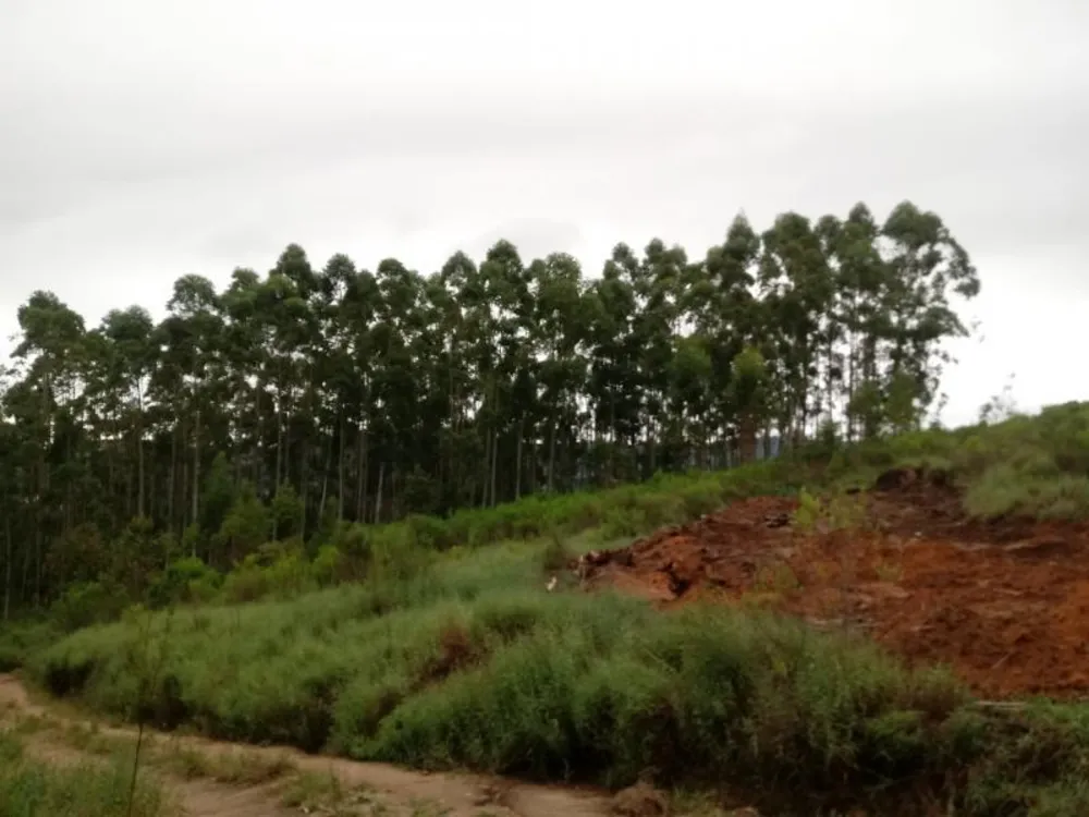 Chácara, 5000 m² - Foto 15