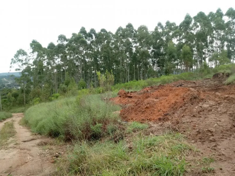 Chácara, 5000 m² - Foto 8