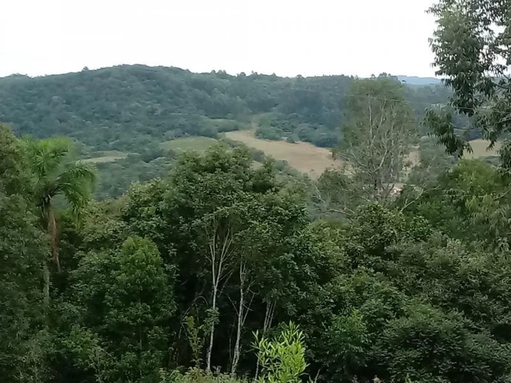 Chácara, 5000 m² - Foto 13