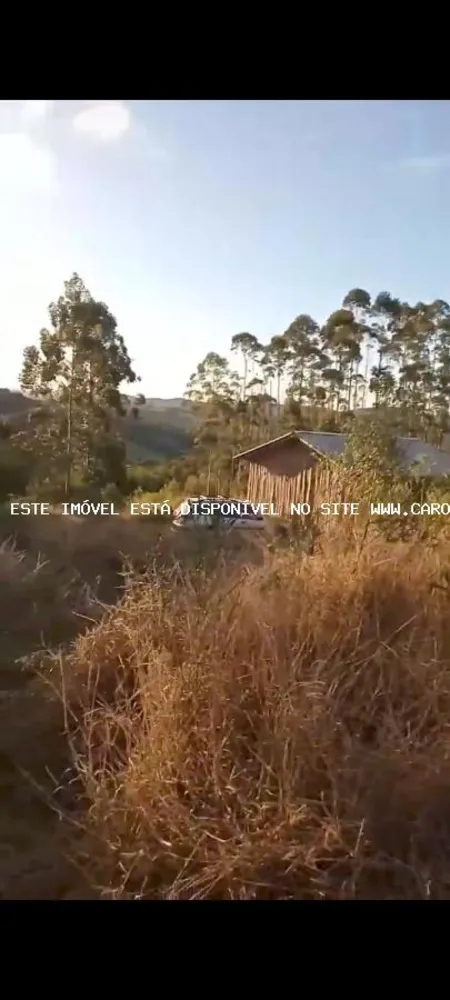Chácara, 5000 m² - Foto 3