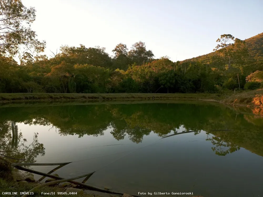 Fazenda, 59 hectares - Foto 7