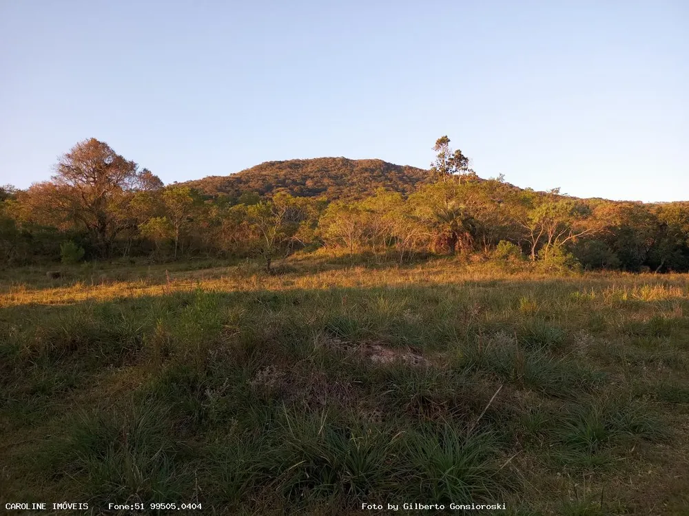 Sítio, 3 quartos, 59 hectares - Foto 7