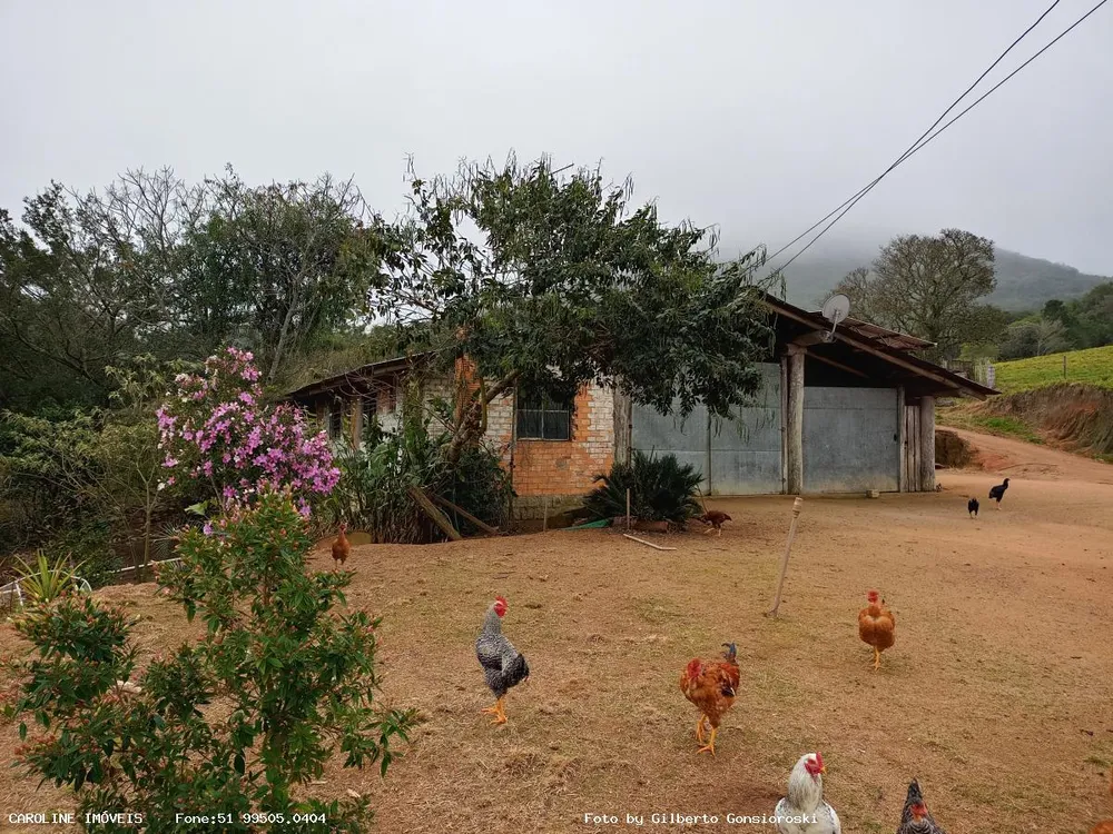 Sítio, 3 quartos, 59 hectares - Foto 1
