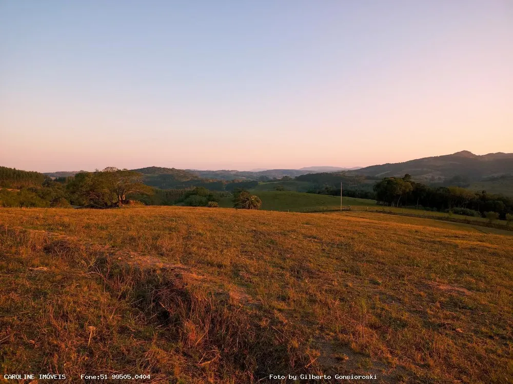 Fazenda, 59 hectares - Foto 8