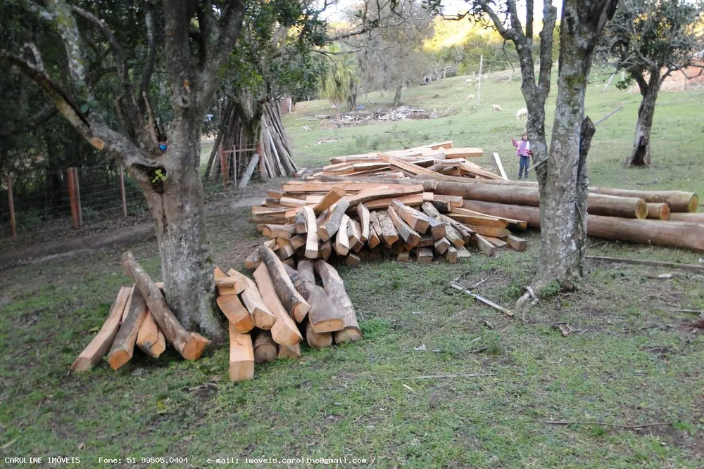 Sítio, 2 quartos, 18 hectares - Foto 11