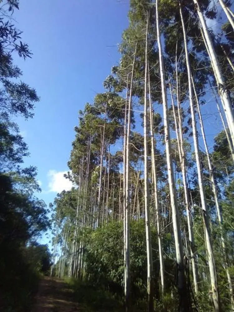 Loteamento e Condomínio, 9 hectares - Foto 1