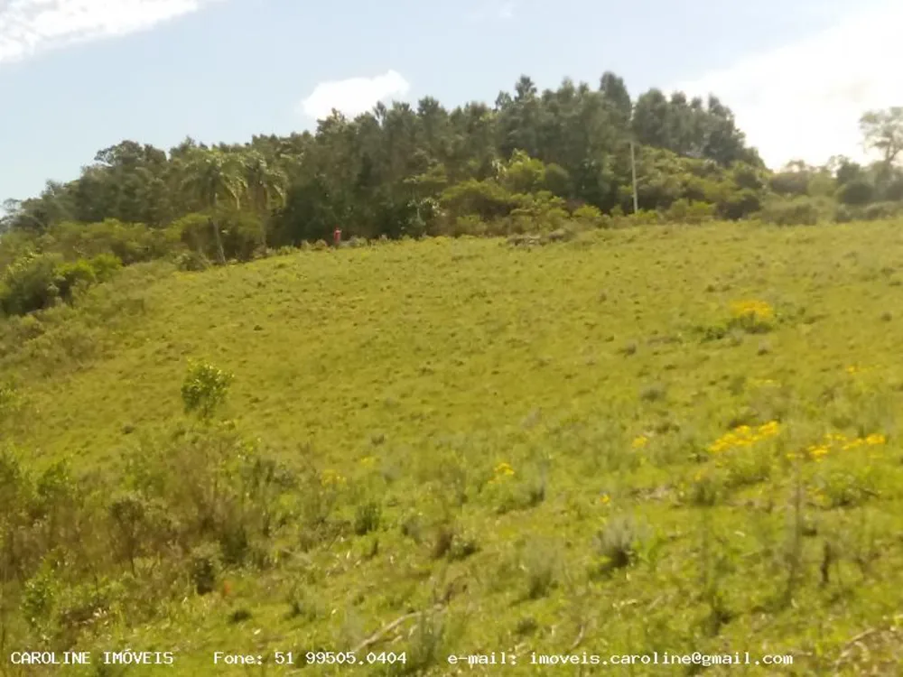 Loteamento e Condomínio, 9 hectares - Foto 3