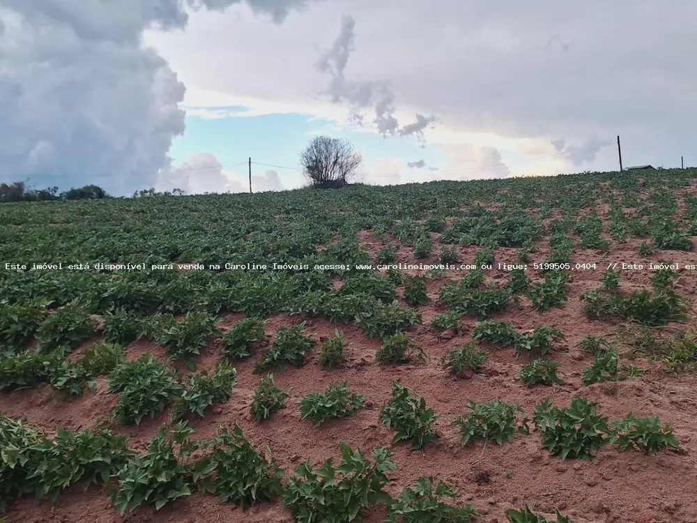 Loteamento e Condomínio, 3 hectares - Foto 4