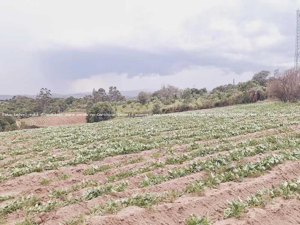 Loteamento e Condomínio, 3 hectares - Foto 8