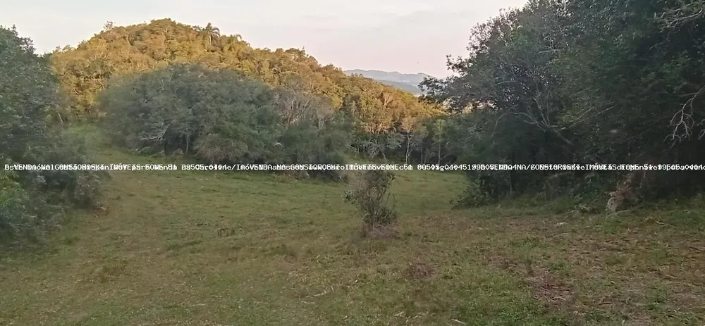 Loteamento e Condomínio, 19 m² - Foto 2