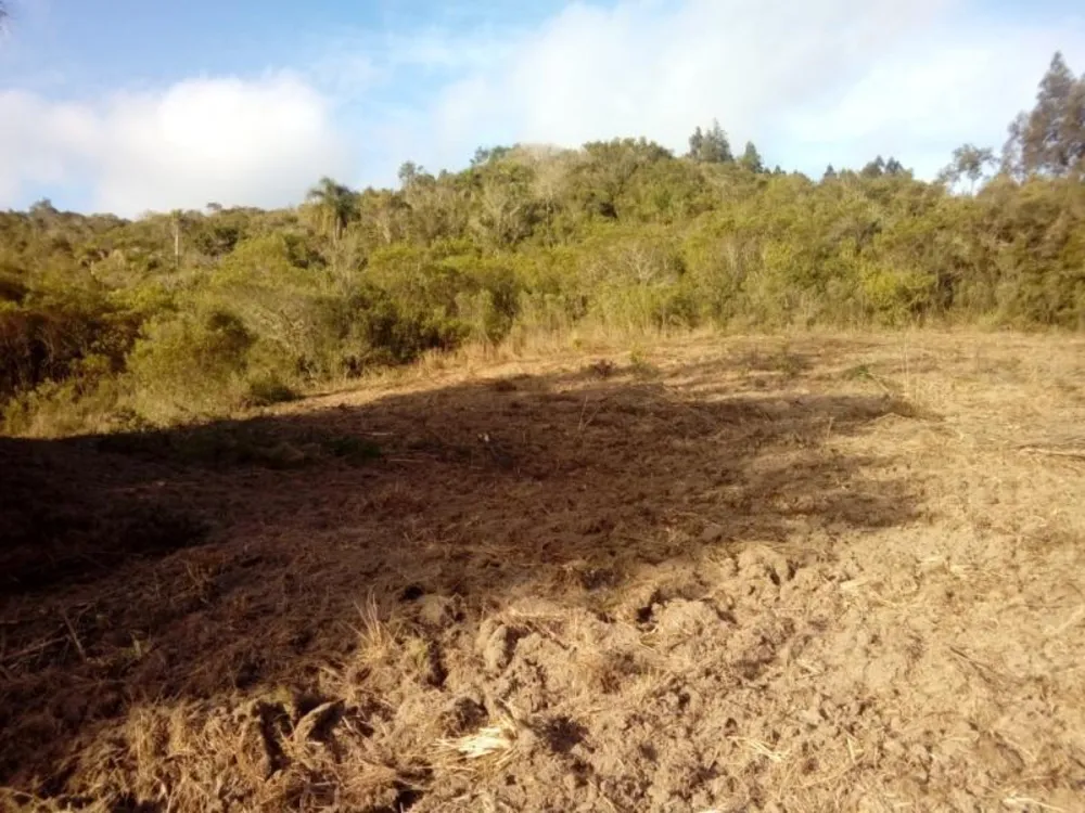 Chácara, 1 quarto, 3 hectares - Foto 1