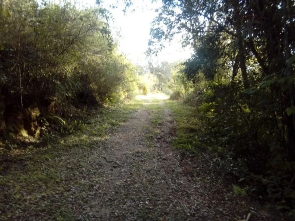 Chácara, 1 quarto, 3 hectares - Foto 4