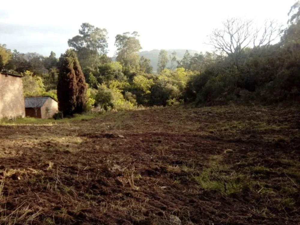 Sítio, 1 quarto, 3 hectares - Foto 3