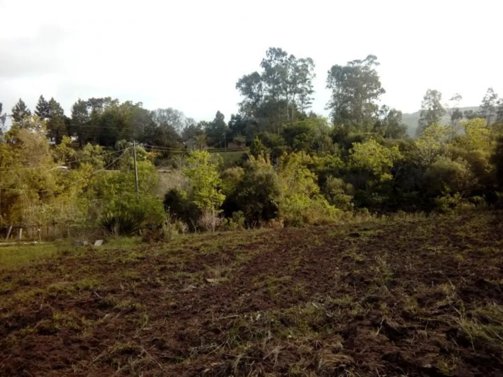 Chácara, 1 quarto, 3 hectares - Foto 5