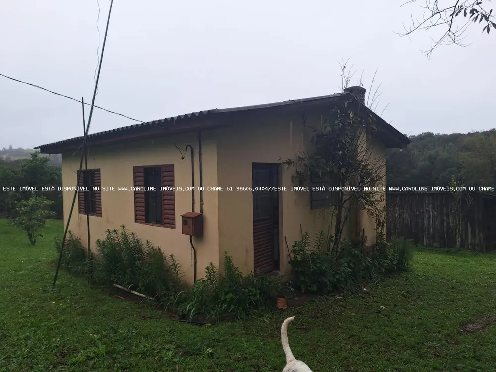 Sítio, 2 quartos, 14 hectares - Foto 1