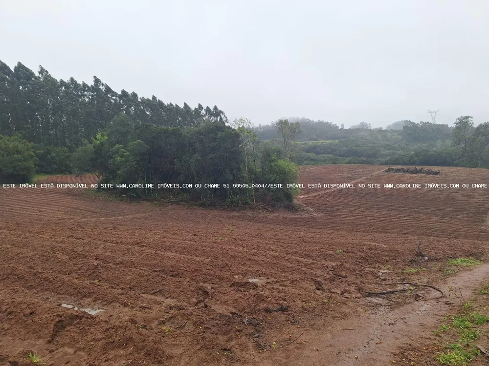 Sítio, 2 quartos, 14 hectares - Foto 6