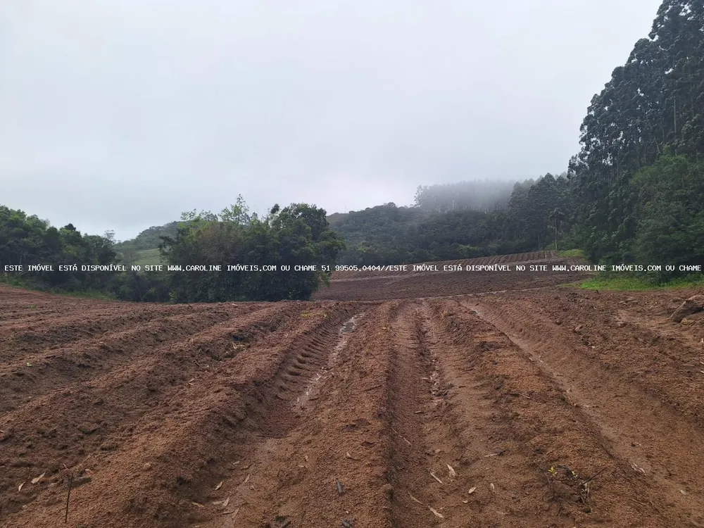 Sítio, 2 quartos, 14 hectares - Foto 12