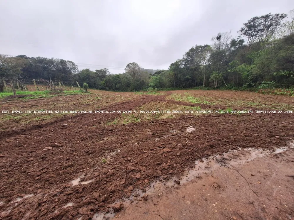 Sítio, 2 quartos, 14 hectares - Foto 4
