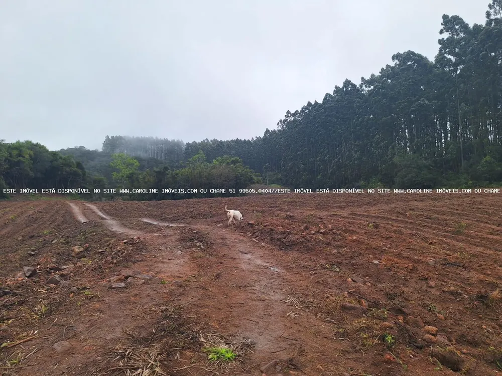 Sítio, 2 quartos, 14 hectares - Foto 3