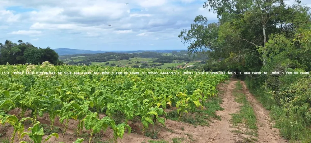 Loteamento e Condomínio, 13 hectares - Foto 4