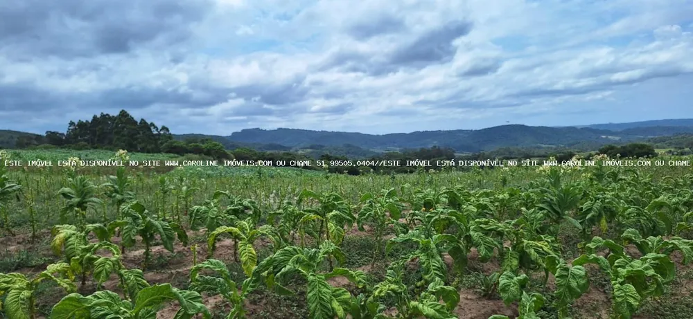 Loteamento e Condomínio, 13 hectares - Foto 3