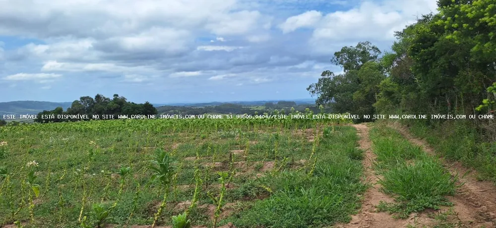 Loteamento e Condomínio, 13 hectares - Foto 1