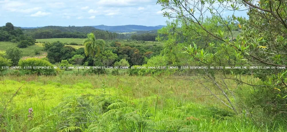 Loteamento e Condomínio, 13 hectares - Foto 6